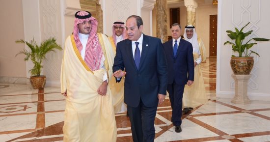 تفاصيل استقبال الرئيس السيسى لوزير الداخلية السعودى.. فيديو