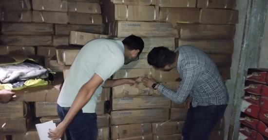 ضبط 12 طن أسماك مجمدة منتهية الصلاحية فى حملة لسلامة الغذاء بالغربية