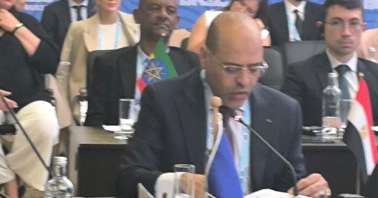 وزير العمل يستعرض جهود مصر بشأن الحماية الاجتماعية أمام وزراء مجموعة البريكس