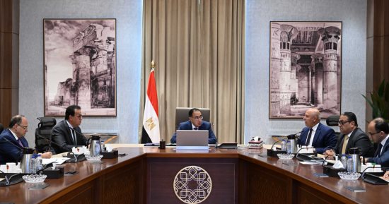 رئيس الوزراء يتابع جهود دعم صناعة الدواء