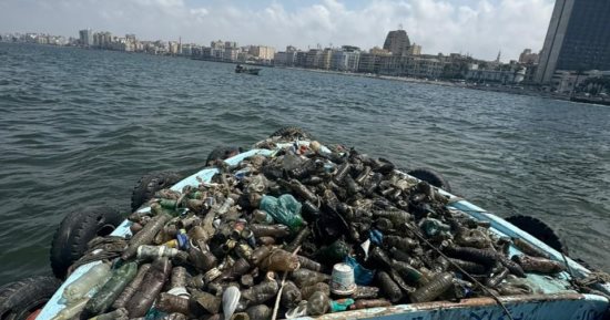 حملة مكبرة لتنظيف قاع البحر بمنطقة الميناء الشرقى بالإسكندرية.. صور