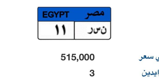 لوحة "نـ سـ ر- 11” المميزة تتخطى نصف مليون جنيه و3 أشخاص يزايدون عليها
