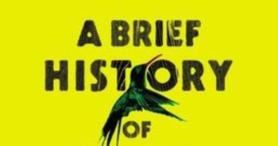 أفضل 100 كتاب في القرن الحادى والعشرين.. محاولة اغتيال بوب مارلى