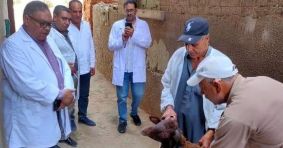 بدء الحملة القومية لتحصين الأغنام والماعز ضد مرض طاعون المجترات بالدقهلية