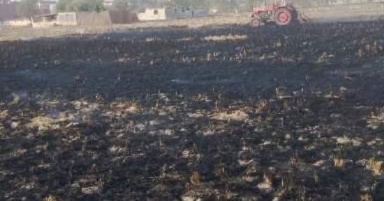 10 إجراءات نفذها جهاز شئون البيئة بالشرقية للحد من السحابة السوداء