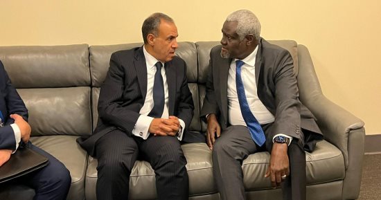 وزير الخارجية يبحث مع رئيس مفوضية الاتحاد الأفريقى قضية الأمن المائى