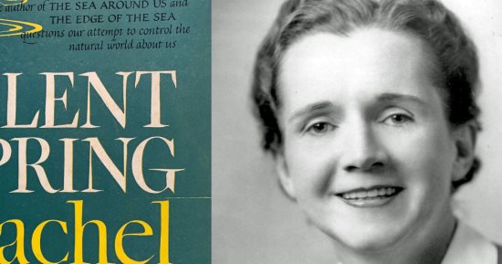 كتب لا تنسى.. حكاية نشر "الربيع الصامت" لراشيل كارسون عام 1962