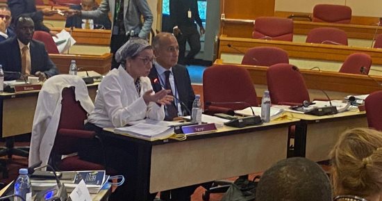 وزيرة البيئة: مصر تحرص على توحيد جهود القارة فى مجال الطاقة الجديدة والمتجددة