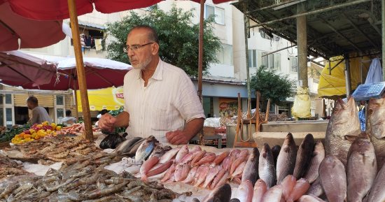 كلمارى وجمبرى.. السمك أشكال وألوان داخل أسواق الأسماك بالإسكندرية "فيديو"