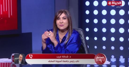 نائب رئيس جامعة أسيوط السابق: الدعم النقدي يساعد المواطن على تحديد احتياجاته