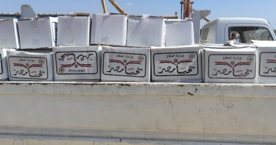 توزيع 1350 كرتونة أغذية "تحيا مصر" على المناطق الأكثر احتياجا بالإسكندرية