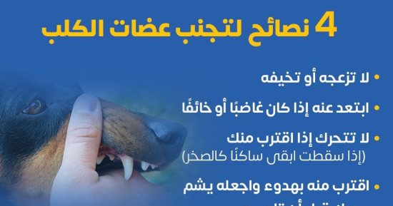 الصحة تكشف 4 نصائح هامة لتجنب "عضة الكلب".. تفاصيل