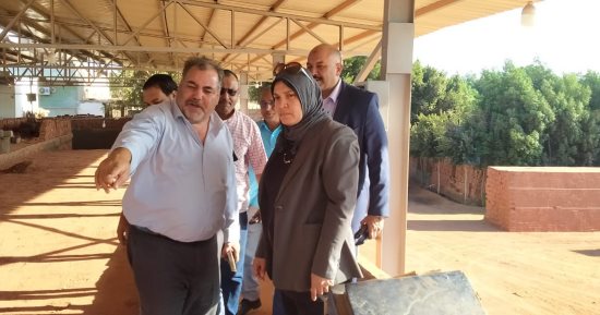  وزارة البيئة تتابع منظومة مكافحة نوبات تلوث الهواء بالبحيرة