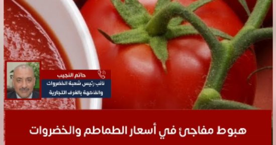 انخفاض كبير فى أسعار الطماطم والخضروات.. شعبة الخضروات والفاكهة تزف بشرى عن الأسعار "فيديو"