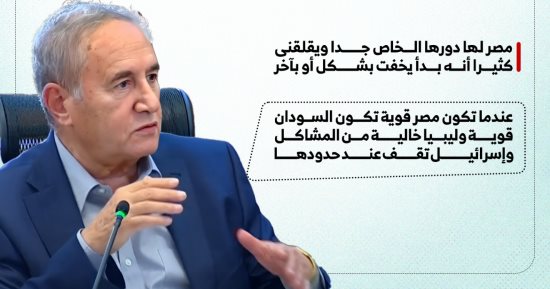 أسامة الغزالى حرب: الحفاظ على دور مصر القيادى الإقليمى ضرورى (إنفوجراف)