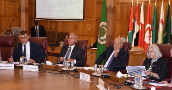 أبو الغيط يشدد على أهمية الدبلوماسية العلمية لبناء الخبرات 