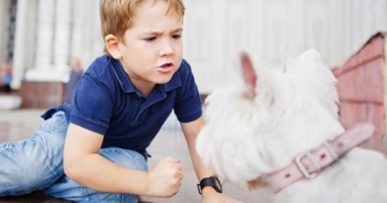 اليوم العالمي للحيوان.. هل تعنيف الطفل للكلاب علامة على تحوله لشخص عنيف؟