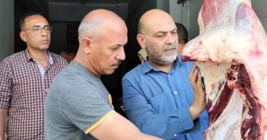 ضبط لحوم ودواجن وأسماك غير صالحة للاستهلاك الآدمى بالمنوفية
