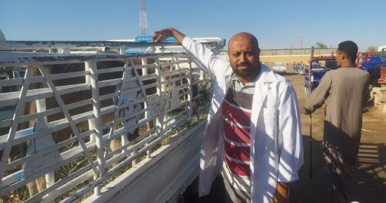 حملات لـ"بيطرى الأقصر" على الأسواق الأسبوعية لفحص المواشى وتحصينها.. صور