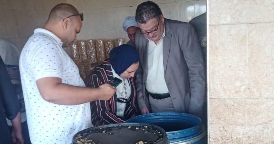 إعدام 65 طنا من مخللات متنوعة دون بيانات غير صالحة للاستهلاك الآدمى بصحة الدقهلية