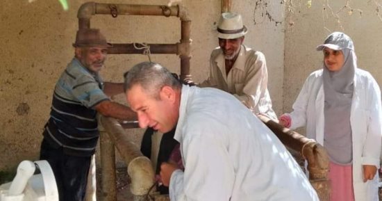 العمل على رفع الكفاءة التناسلية وزيادة الإنتاج فى الثروة الحيوانية بدمياط