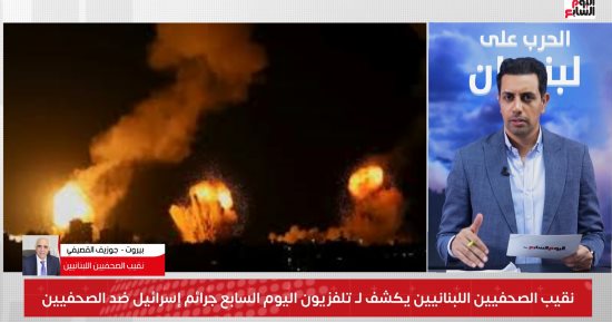 نقيب صحفيى لبنان لتليفزيون اليوم السابع: نأمل من الصحفيين العرب الوقوف بجانبنا