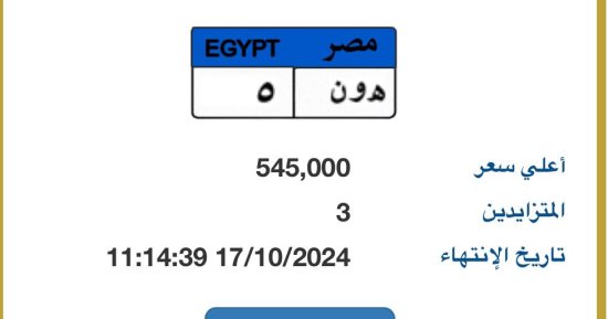 "هـ و ن- 5" لوحة مميزة جديدة يزايد عليها 3 أشخاص بسعر يتخطى نصف مليون جنيه 