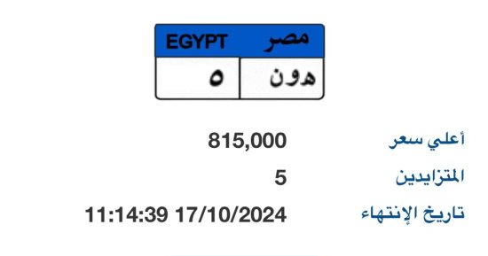 سعر لوحة "هـ و ن- 5" المميزة يصل لـ 815 ألف جنيه و5 أشخاص يتنافسون عليها