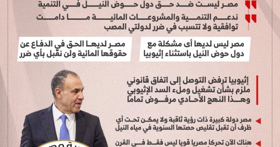 وزير الخارجية: مصر لديها الحق في الدفاع عن حقوقها المائية (إنفوجراف)