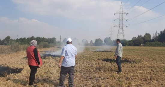 قيادات وزارة البيئة تواصل جولاتها الميدانية بمحافظات منظومة قش الأرز