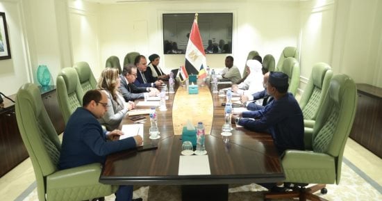 خالد عبد الغفار يستقبل وزير صحة جمهورية تشاد لمناقشة سبل التعاون المشترك