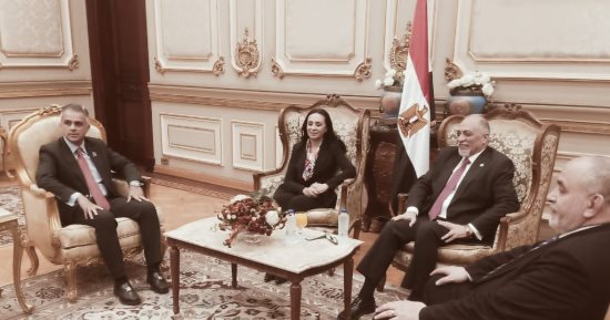 رئيس لجنة التضامن بمجلس النواب يستقبل الدكتورة مايا مرسى