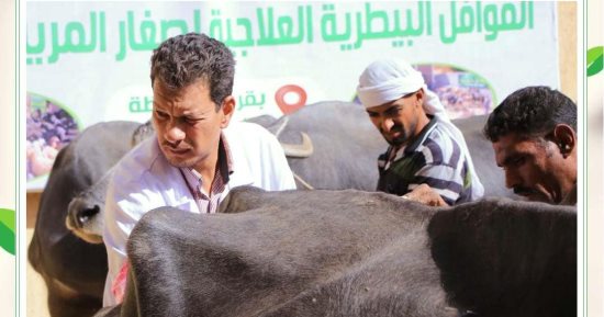 التحالف الوطنى يطلق قافلة طبية بيطرية مجانية لدعم صغار مربى الماشية بالفيوم
