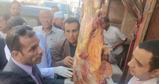 ضبط 5 أطنان و85 كجم لحوم غير صالحة للاستهلاك الآدمى بالجيزة