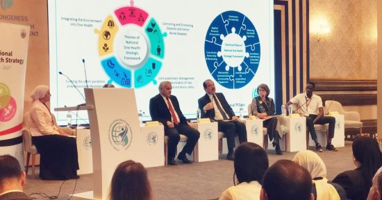 "الخدمات البيطرية": تراجع عدد المراعى لم يمكننا من تحقيق الاكتفاء الذاتى من اللحوم