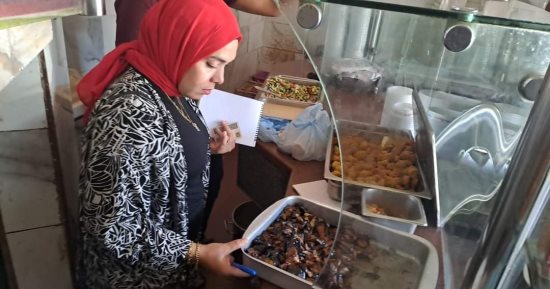 حملة مكبرة للتفتيش على المنشآت التجارية بالمنصورة.. صور
