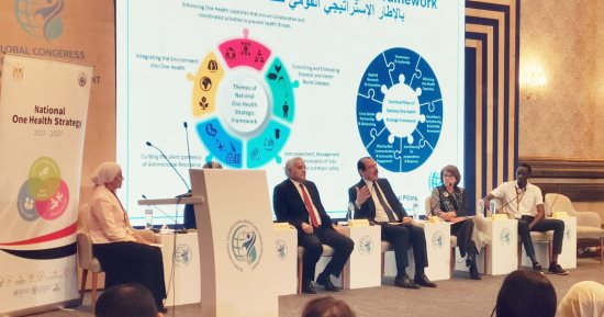 رئيس هيئة الخدمات البيطرية: تكليفات بإعلان مرابط خيل العاصمة الإدارية خالية من الأمراض