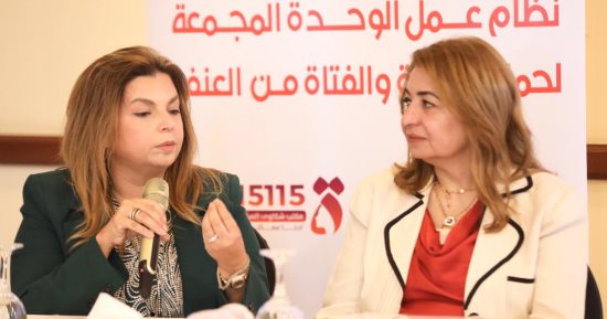 المجلس القومى للمرأة يعقد ورشة العمل الأولى لوحدة حماية المرأة والفتاة من العنف