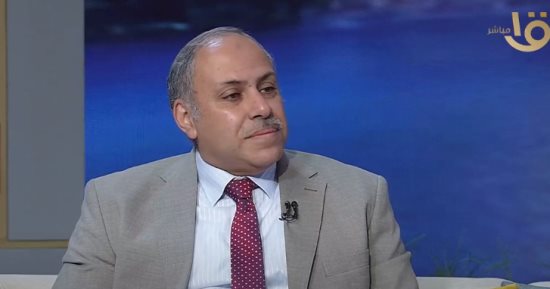أستاذ علوم سياسية: كل القضايا المحيطة لا بد أن تمر عبر مصر