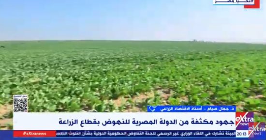 جمال صيام: الدولة تبذل مجهودات كبيرة في مجال القطاع الزراعي
