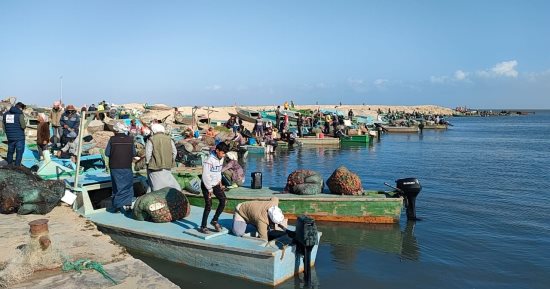القانون يحظر بيع الأسماك داخل البحيرات الا بترخيص 