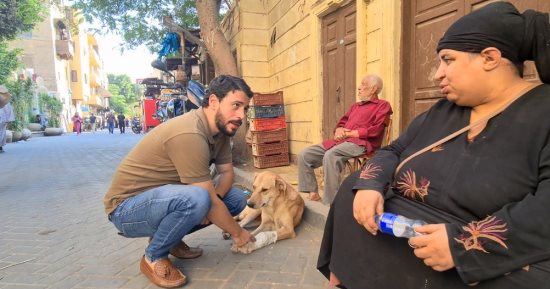 الراحمون يرحمهم الرحمن.. قصة سيدة أنقذت كلبا بعد تعرضه لحادث في الشارع