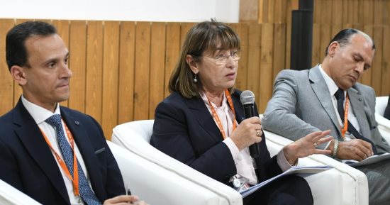 منسقة الأمم المتحدة: برنامج متعدد لتوطين أهداف التنمية المستدامة بمصر قريبا