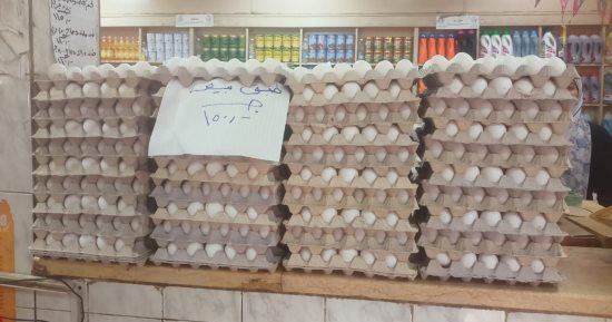 طرح أكثر من 10 آلاف طبق بيض بسعر 150 جنيها اليوم بأحياء الجيزة
