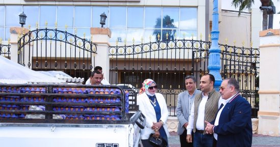 بسعر 150 جنيها للكرتونة.. وصول أول دفعة من بيض المائدة إلى مطروح