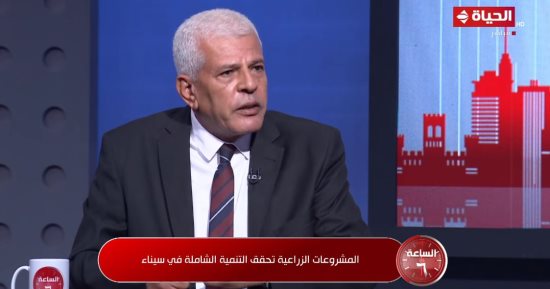 نقيب الزراعيين: منطقة الطور بسيناء أفضل منطقة لزراعة النخيل فى مصر