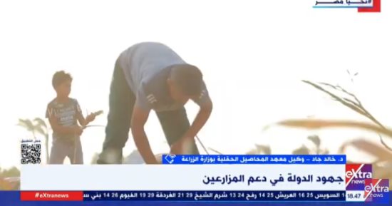 الزراعة: لدينا 360 صنفا نباتيا للمحاصيل الحقلية تشمل البقوليات