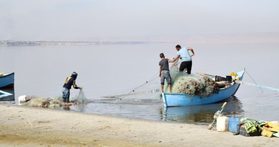 الحياة تعود لبحيرة قارون بالفيوم بعد 9 سنوات عجاف.. افتتاح موسم الصيد بالبحيرة.. والفريق العلمى ينجح فى القضاء على أنواع متعددة من طفيل الأيزبودا قاتل السمك.. والمحافظ: الدولة تهتم بحماية وتنمية البحيرات.. صور