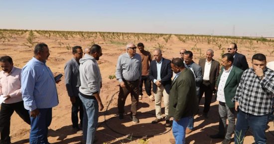 محافظ الوادى الجديد يتفقّد مشروعات الاستثمار الزراعى على طريق موط- العوينات