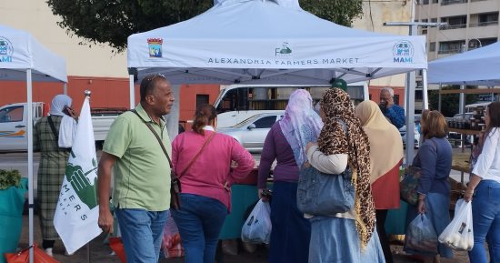 بأسعار مخفضة.. انطلاق فاعليات سوق اليوم الواحد للمزارعيين بالإسكندرية.. مباشر